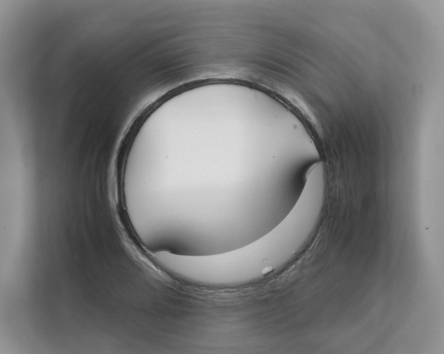 X0000111351080200907310947