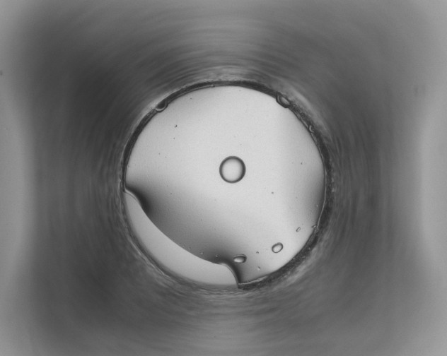 X0000111351081200907310947