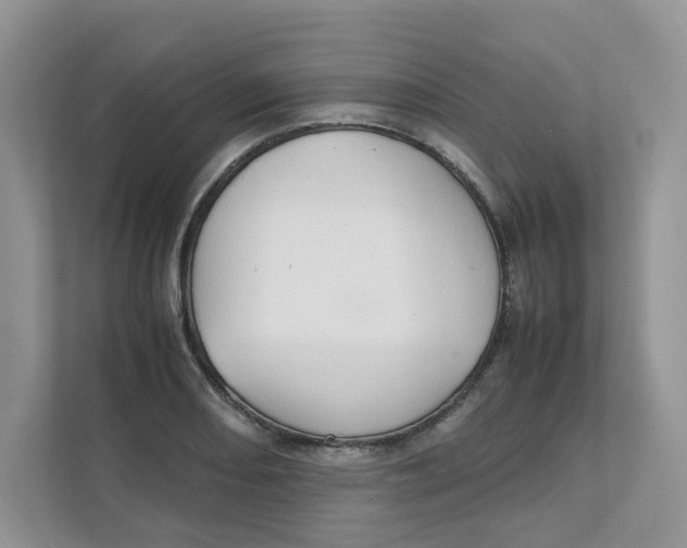 X0000111351082200907310947