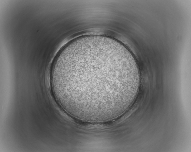 X0000111351083200907310947