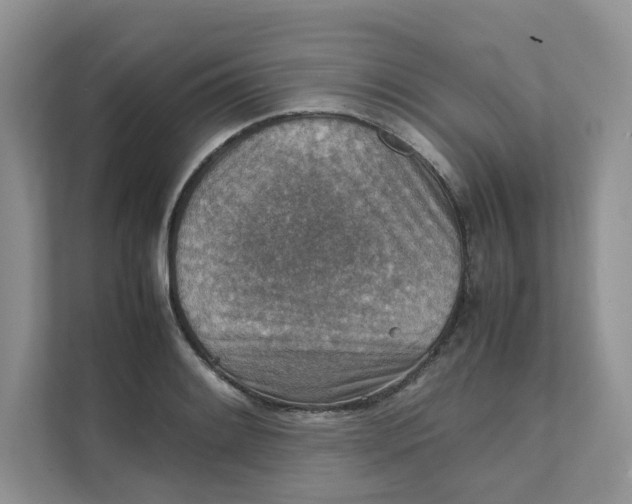 X0000111351084200907310947