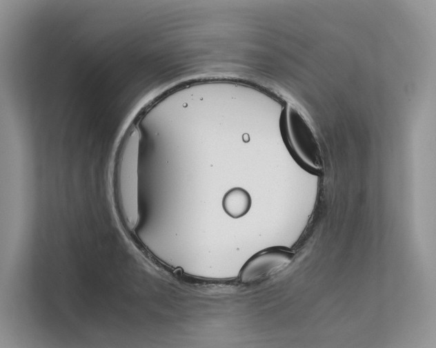 X0000111351085200907310947