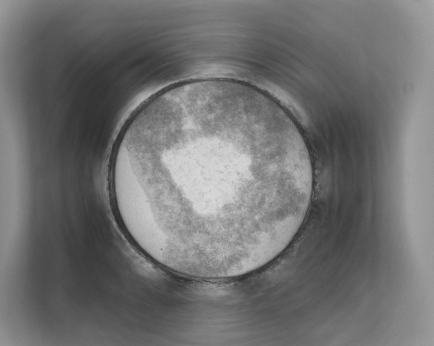 X0000111351086200907310947