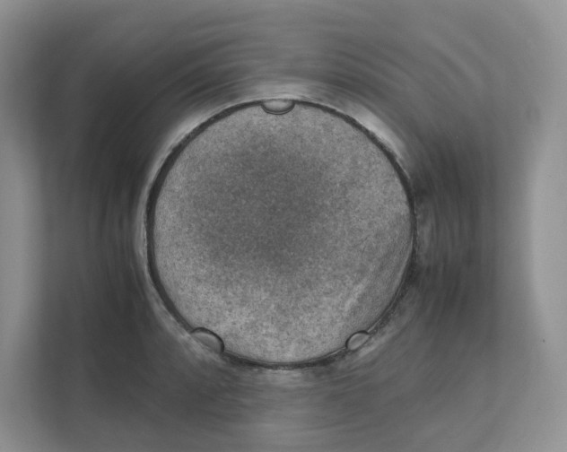 X0000111351088200907310947