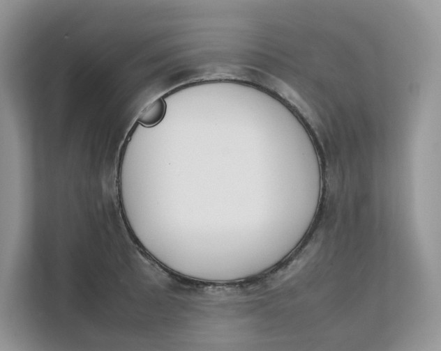 X0000111351089200907310947