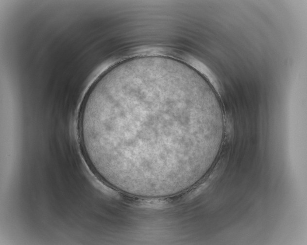 X0000111351090200907310947