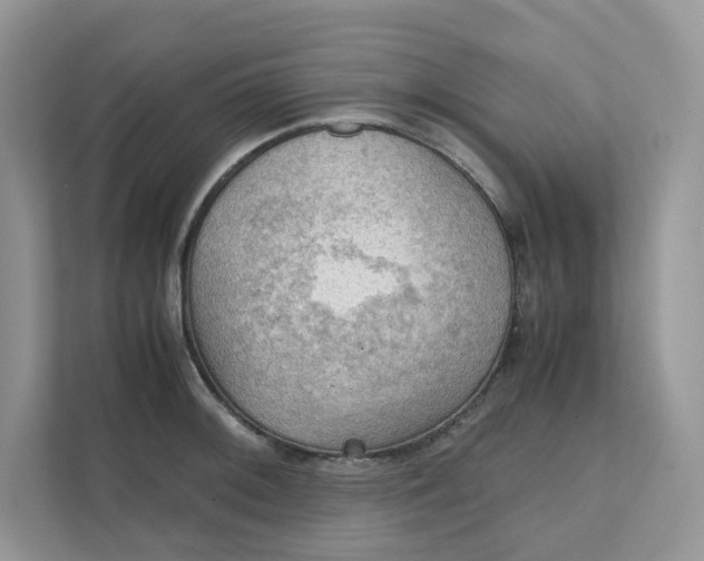 X0000111351092200907310947