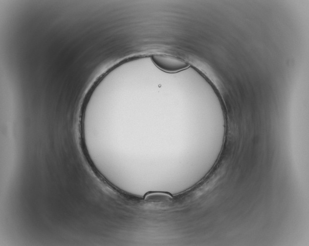 X0000111351093200907310947