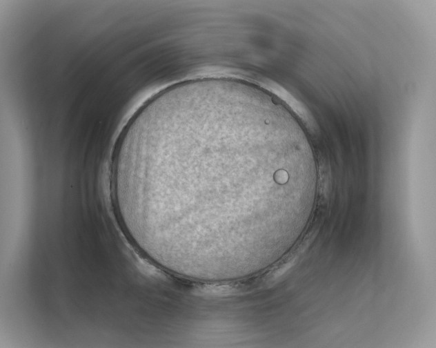 X0000111351094200907310947