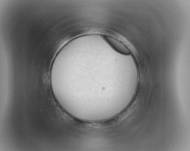 X0000111351097200907310947