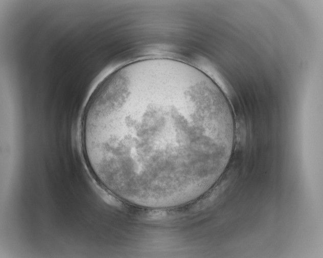 X0000111351098200907310947