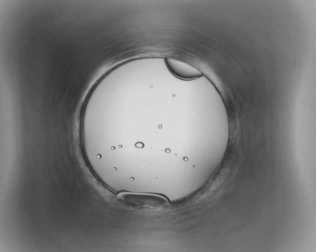 X0000111351099200907310947