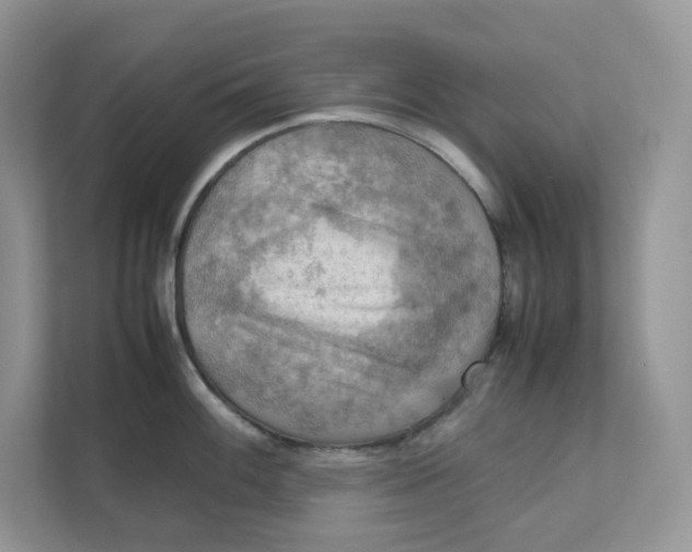 X0000111351100200907310947