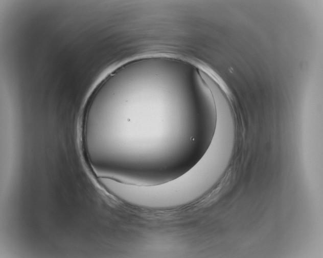 X0000111351101200907310947