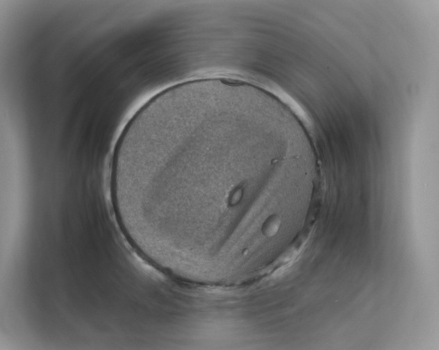 X0000111351102200907310947