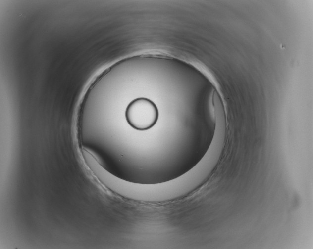 X0000111351104200907310947