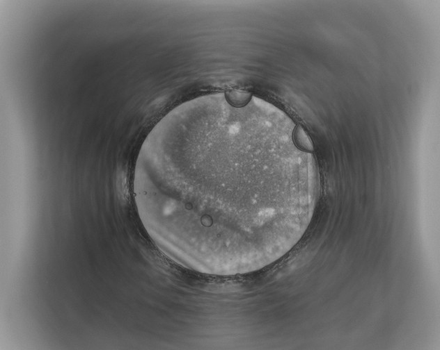 X0000111351106200907310946