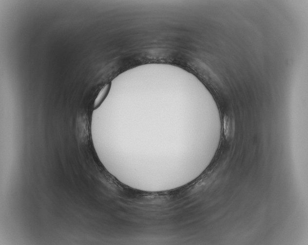 X0000111351107200907310946