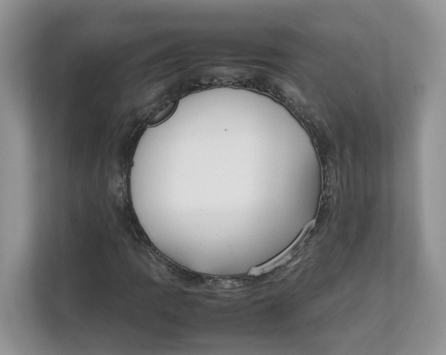 X0000111351109200907310946