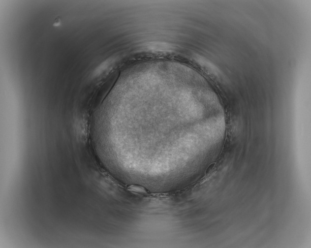 X0000111351110200907310946