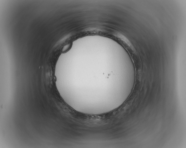 X0000111351111200907310946