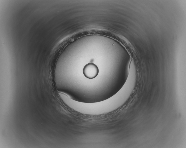 X0000111351112200907310946