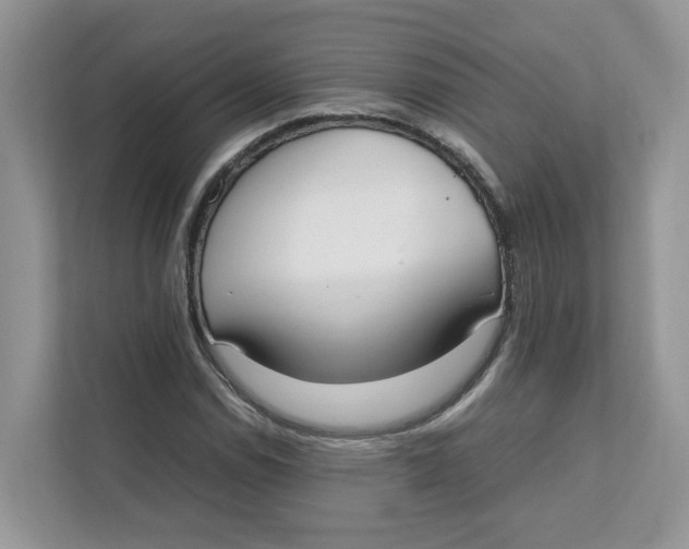 X0000111351114200907310946