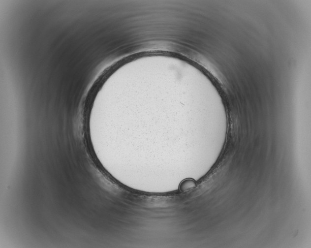 X0000111351116200907310946