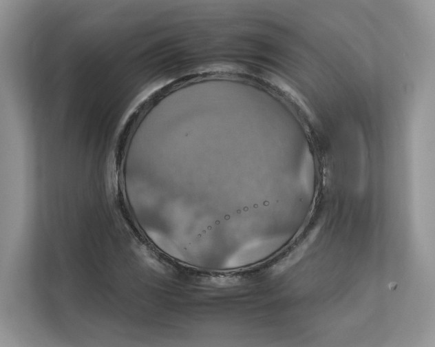 X0000111351117200907310946