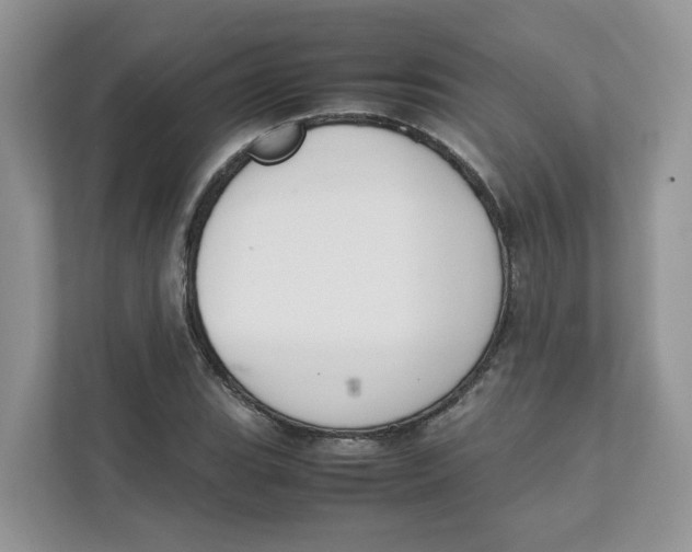 X0000111351119200907310946