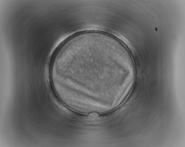 X0000111351120200907310946