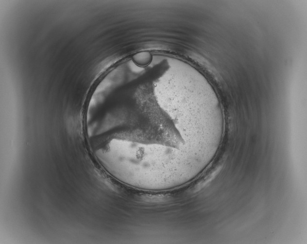 X0000111351121200907310946