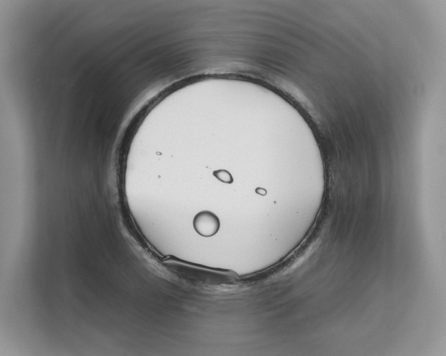 X0000111351122200907310947