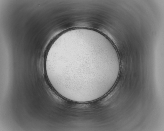 X0000111351123200907310947