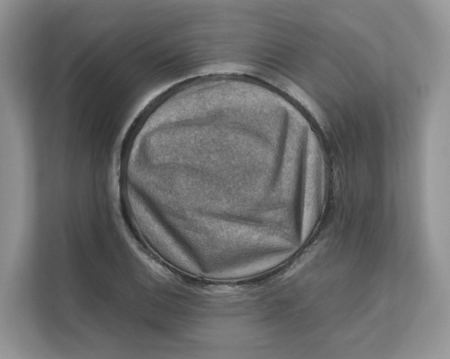 X0000111351124200907310947