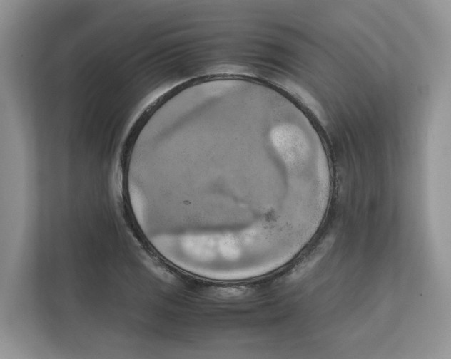 X0000111351125200907310947