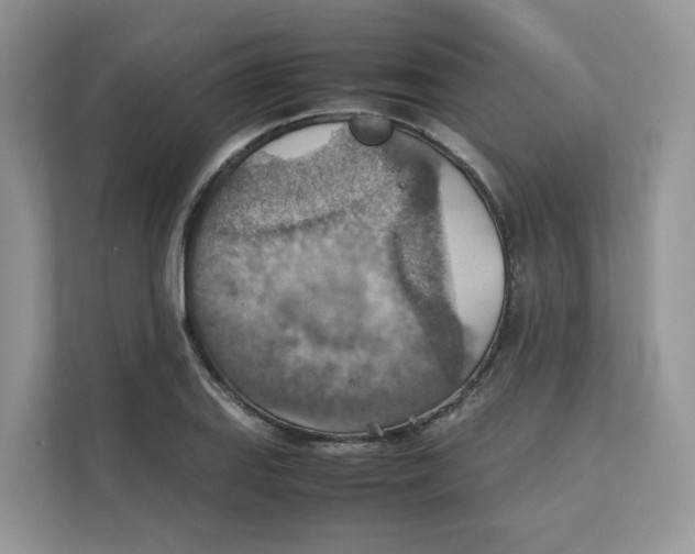 X0000111351127200907310947