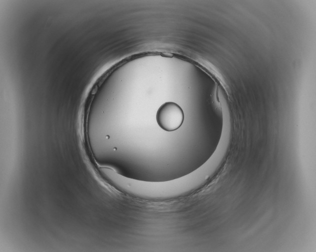 X0000111351128200907310947