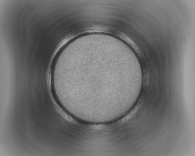 X0000111351130200907310947