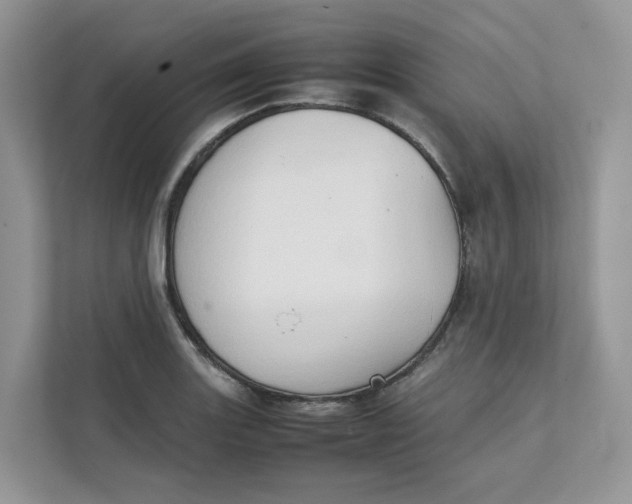 X0000111351131200907310947