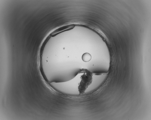 X0000111351132200907310947