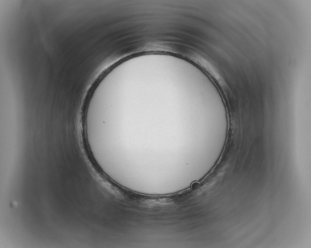 X0000111351133200907310947