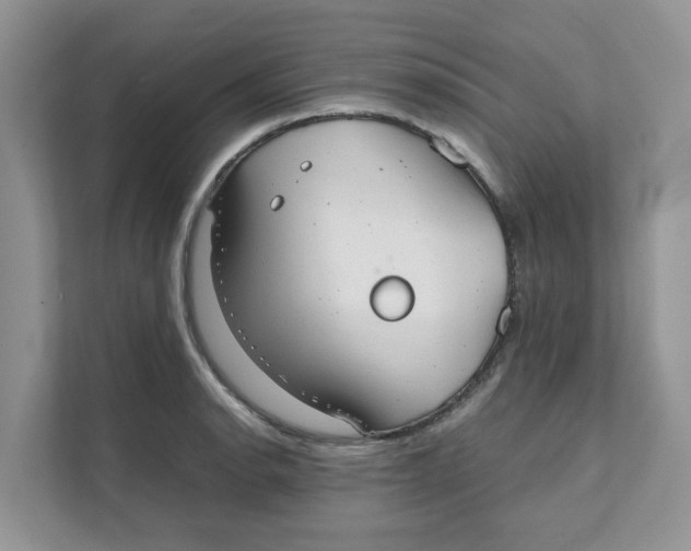 X0000111351134200907310947