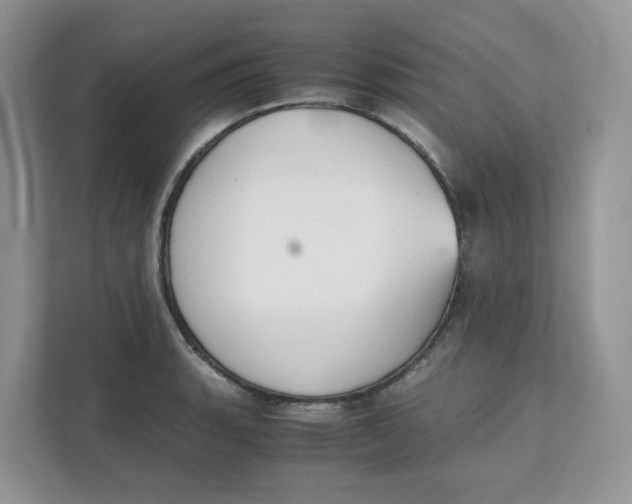 X0000111351135200907310947