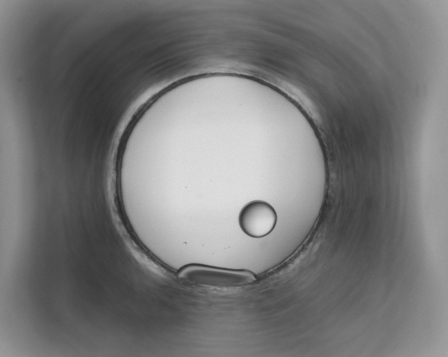 X0000111351136200907310947