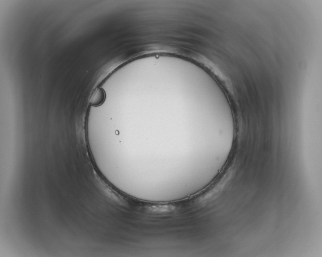 X0000111351137200907310947