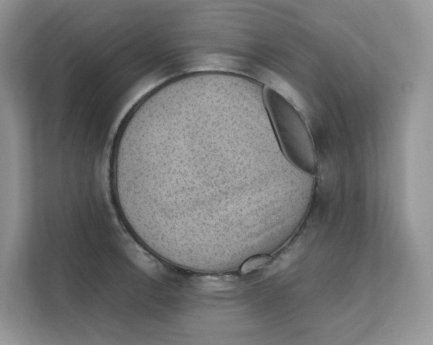 X0000111351138200907310947