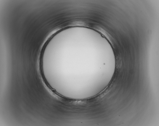 X0000111351139200907310947