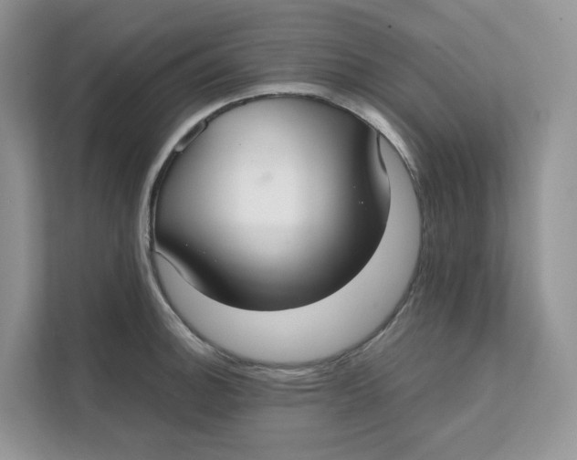 X0000111351140200907310947