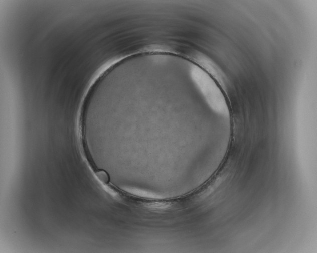 X0000111351141200907310947